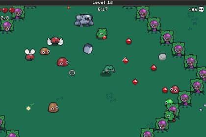 Pets survivors