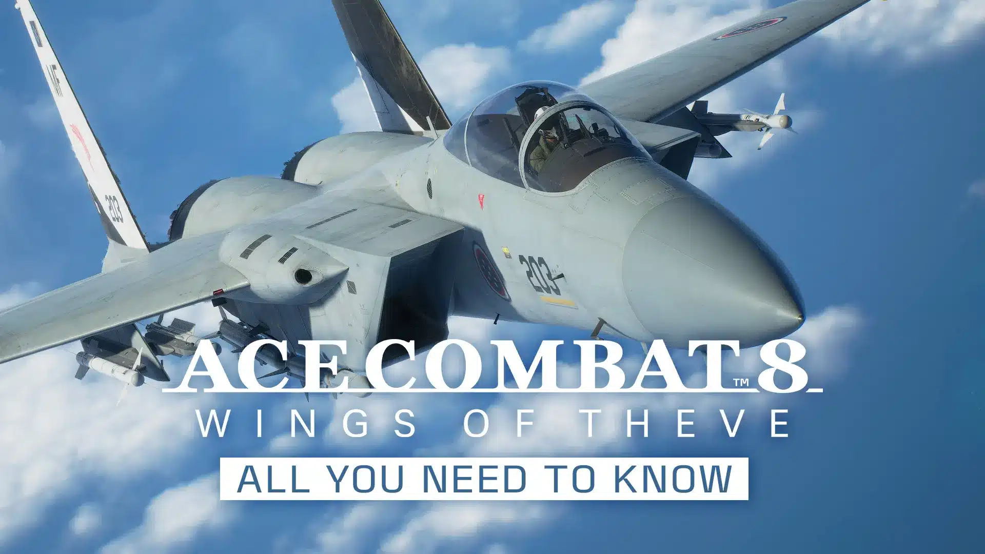 Ace combat 8: crossplay, multiplayer e orario early access in italia Ace combat 8 wings of theve aereo in volo