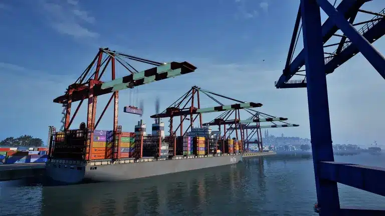Seafarer The Ship Sim: navi in mare