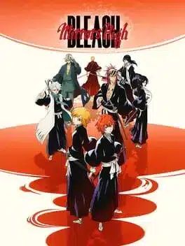 BLEACH Mirrors High