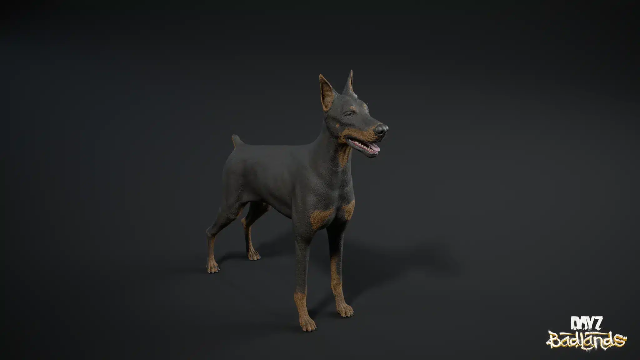 Dayz badlands, il muflone, uno dei nuovi animali di nasdara