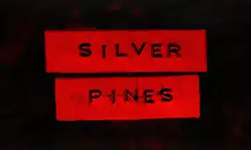 Silver pines è multiplayer? Co-op, online e giocatori