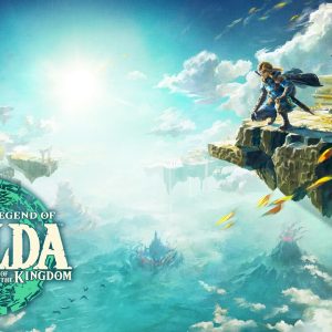 The Legend of Zelda Tears of the Kingdom cavallo