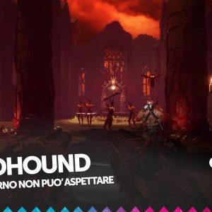 Bloodhound