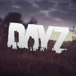 dayz
