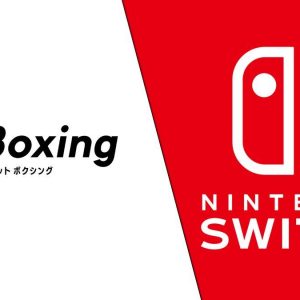 Fitness Boxing