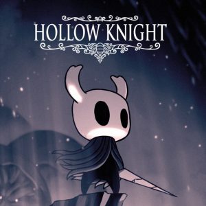 hollow knight