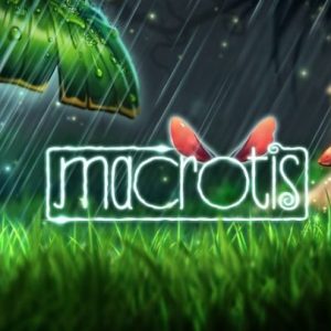 Macrotis a mother's journey