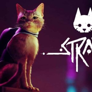 Stray screenshot