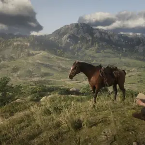 Red Dead Redemption 2