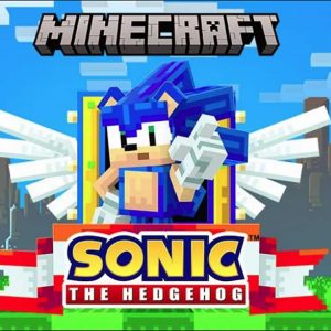 Minecraft Sonic DLC Hive