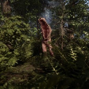 Sons of the Forest copertina