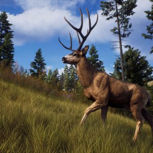 Way of the Hunter