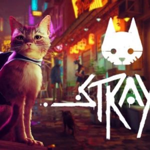 Stray