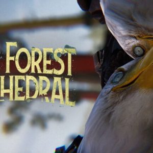 The Forest Cathedral